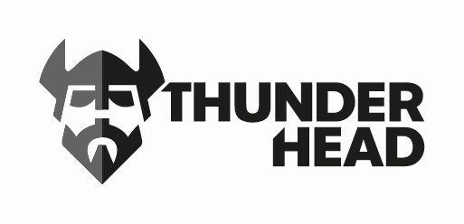 thunderhead_企业商标大全_商标信息查询_爱企查