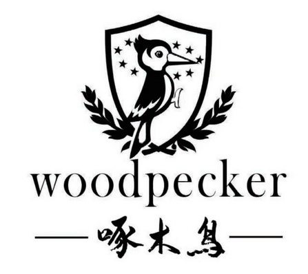 啄木鸟woodpecker 