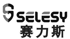 金康赛力斯logo图片