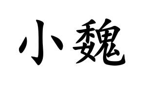  em>小魏 /em>