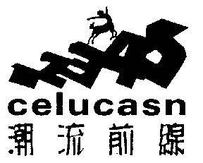 潮流前线 celucasn - 商标 - 爱企查