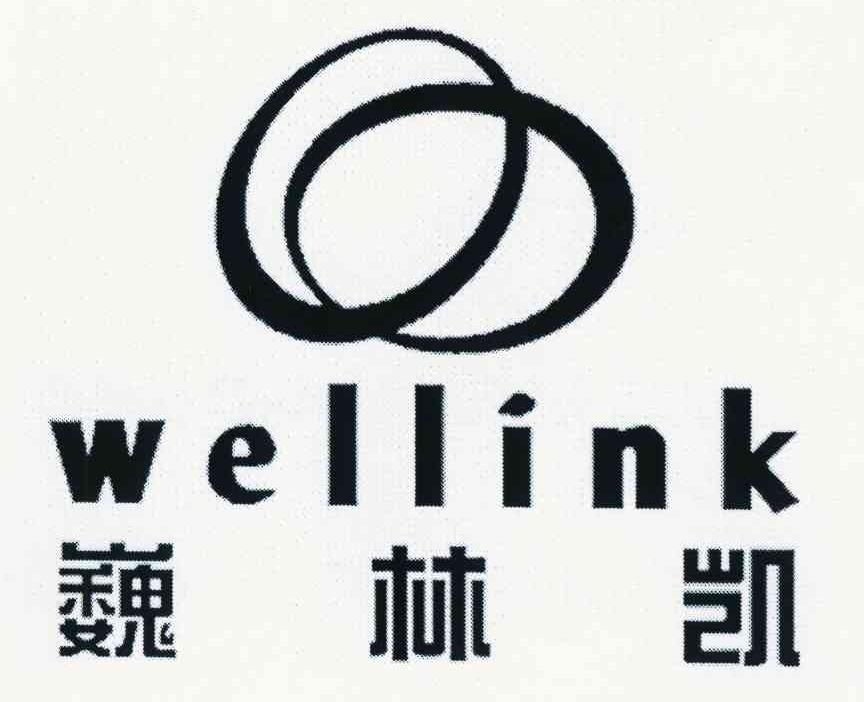 巍林凯 em>wellink/em>