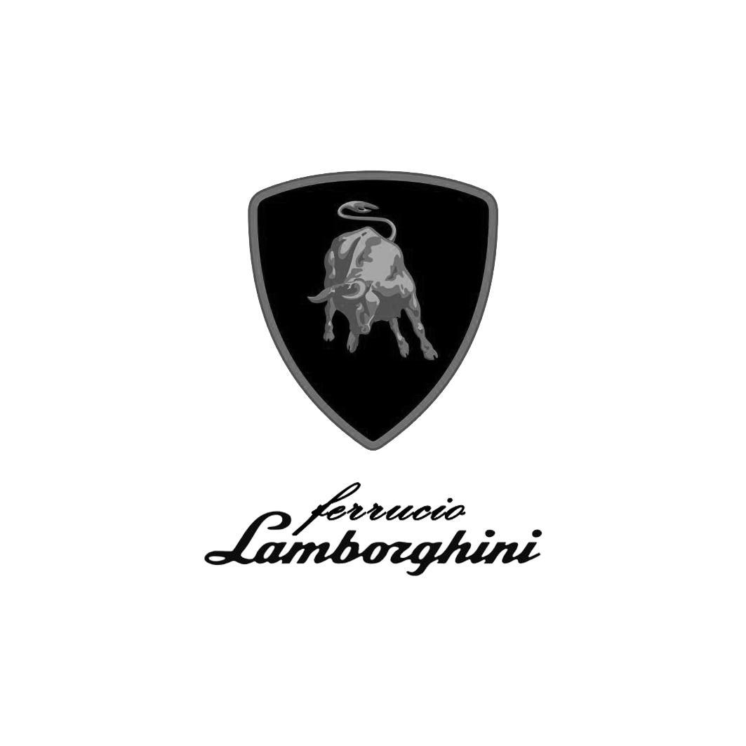  em>ferruccio /em> lamborghini
