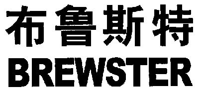  em>布鲁斯特 /em>; em>brewster /em>