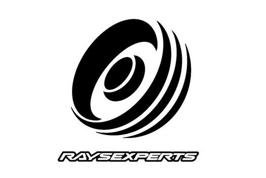 raysexperts - 商标 - 爱企查