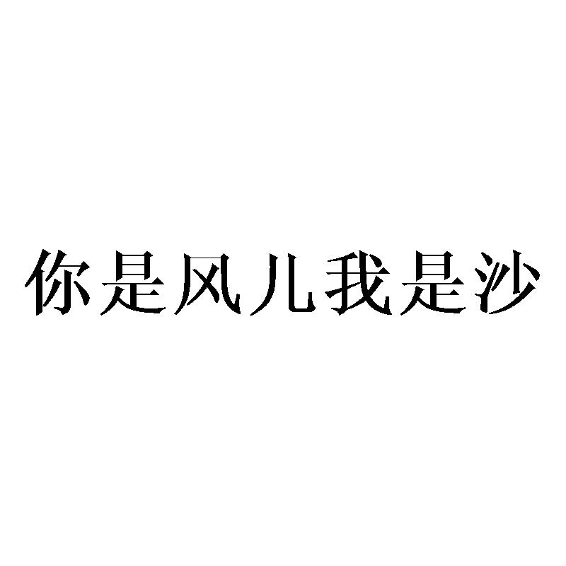 你是风儿我是沙