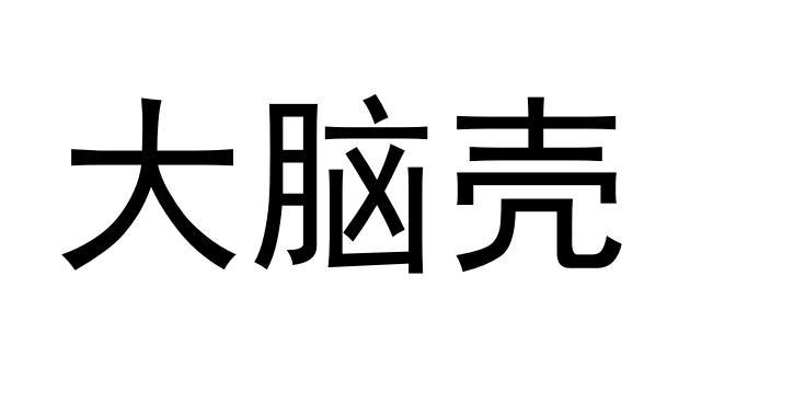  em>大 /em> em>脑壳 /em>