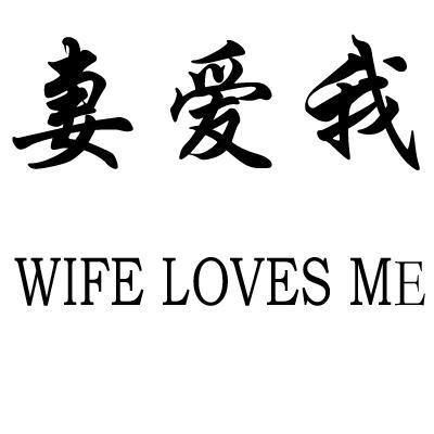 妻爱我 wife loves me