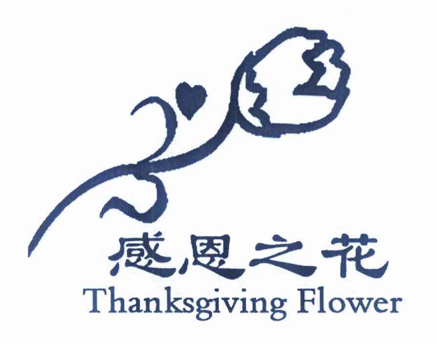 感恩之花 thanksgiving flower              