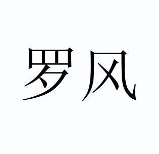 北京百世福达时代知识产权代理有限公司罗风商标注册申请注册公告排版