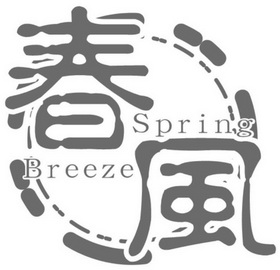 商标详情申请人:高密市春风包装材料厂 办理/代理机构:北京华商动力