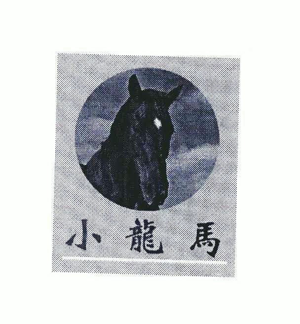 小龙马