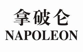 拿破仑 napoleon                           