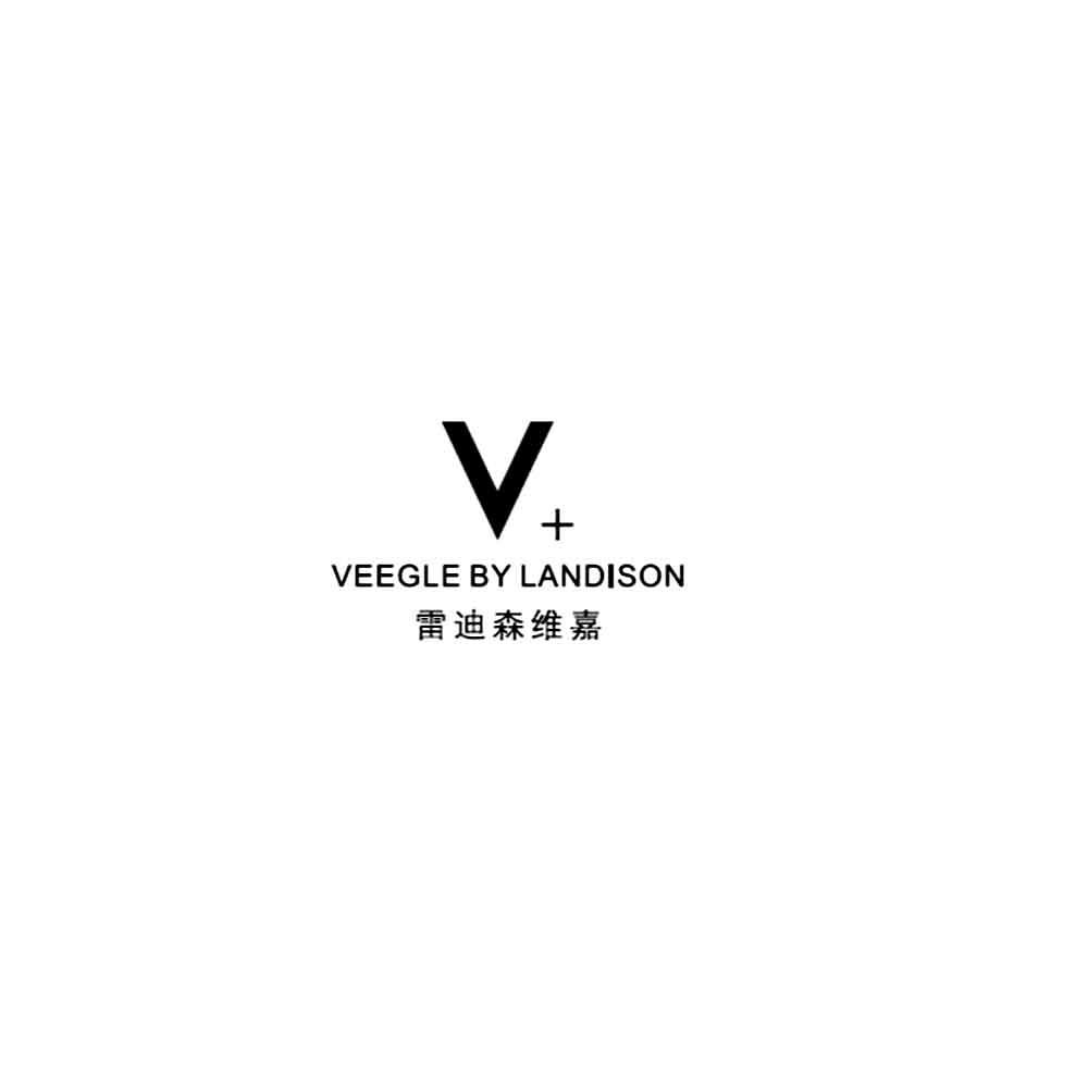 雷迪森维嘉  em>veegle /em> by landison v