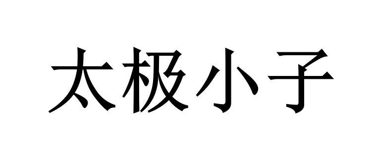 em>太极/em em>小子/em>