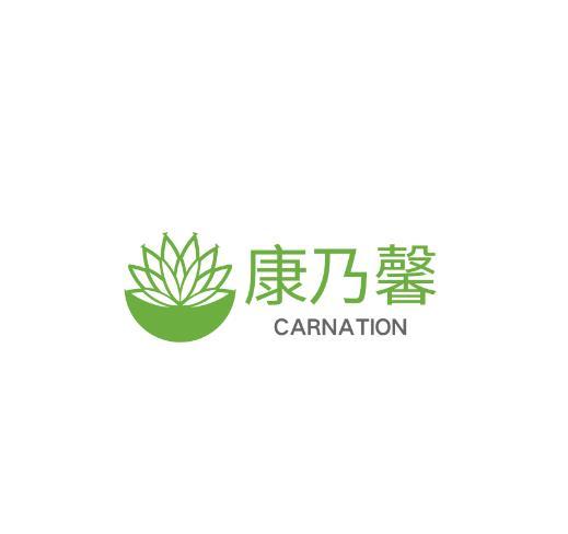  em>康乃馨 /em>  em>carnation /em>