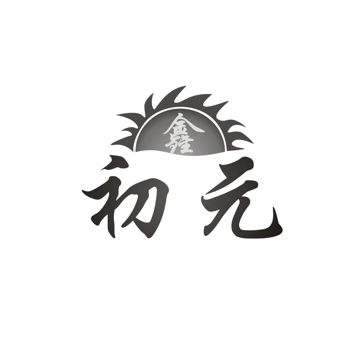 鑫初元