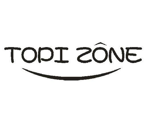 topizone_企业商标大全_商标信息查询_爱企查