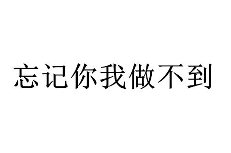 忘记你我做不到_企业商标大全_商标信息查询_爱企查