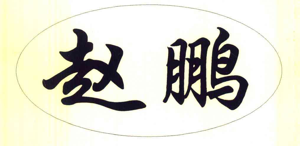  em>赵鹏 /em>