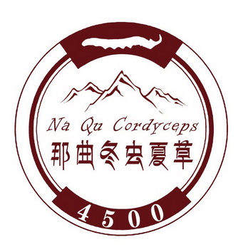 那曲 冬虫夏草 na qu cordyceps 4500申请被驳回不予受理等该商标已