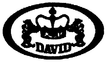 大卫;david                                