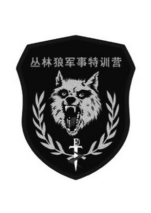 丛林狼军事特训营 - 商标 - 爱企查