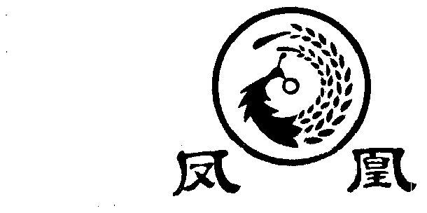 凤凰                                      