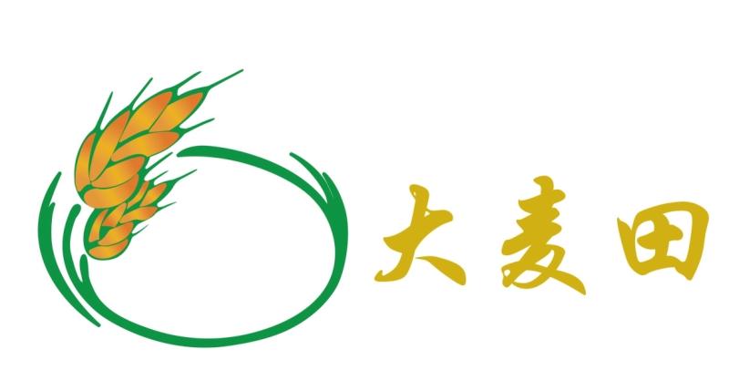  em>大麦 /em>田