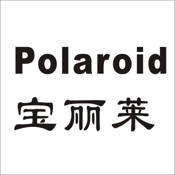  em>宝丽莱 /em> polaroid