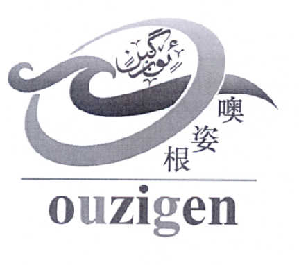 国际分类:第03类-日化用品商标申请人:阿义努尔·沙吾提办理/代理机构