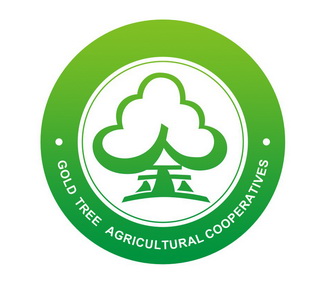  em>金 /em>  em>gold /em>  em>tree /em>