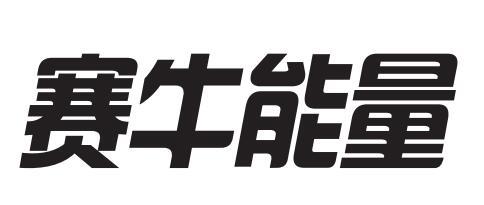  em>赛 /em>牛 em>能量 /em>