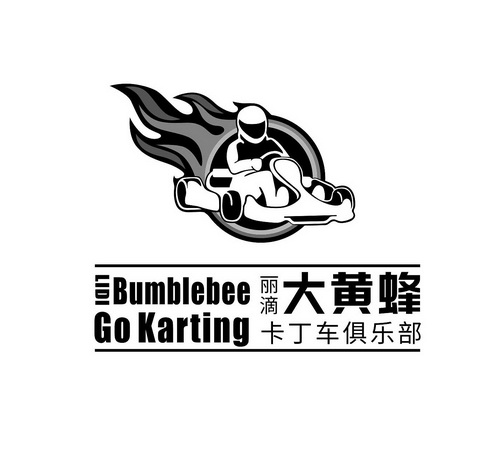  em>丽滴 /em>大黄蜂卡丁车俱乐部