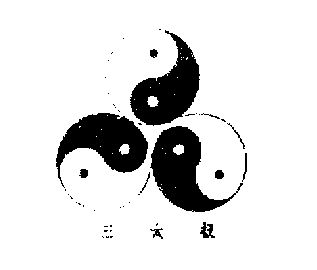 三太极 - 企业商标大全 - 商标信息查询 - 爱企查