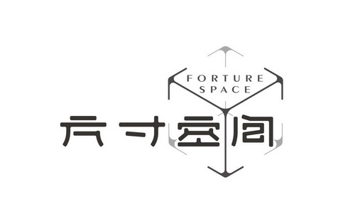 第42类-网站服务商标申请人:沈阳方寸空间装饰工程设计有限公司办理