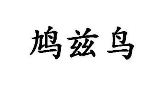 鸠兹鸟