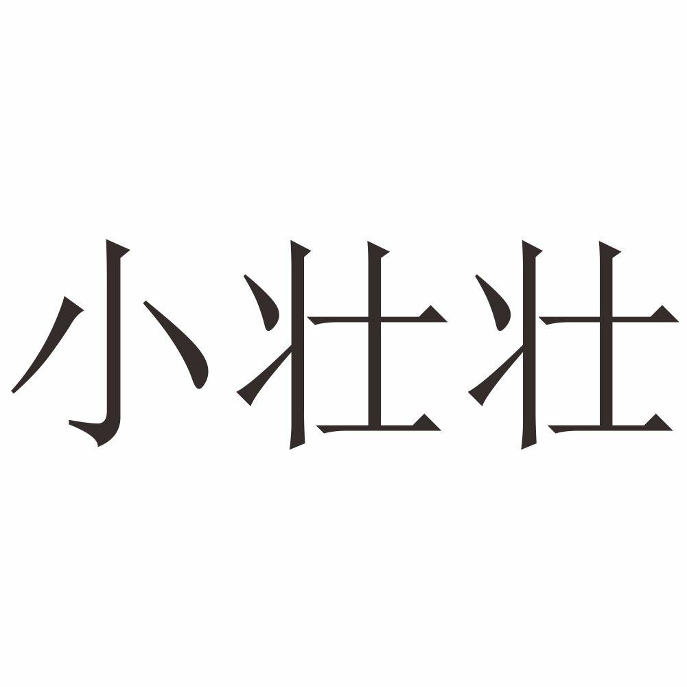小壮壮等待实质审查