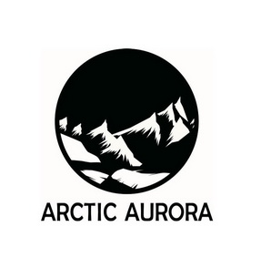 arctic aurora