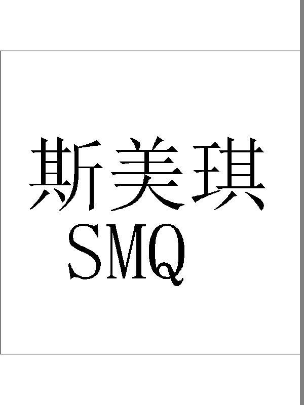 斯美琪 em>smq/em>