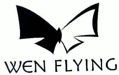 wen flying