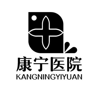  em>康宁 /em>医院