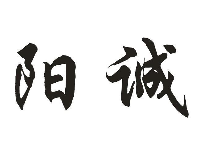 伟名商标专利事务所有限公司申请人:湖南阳诚贸易有限公司国际分类