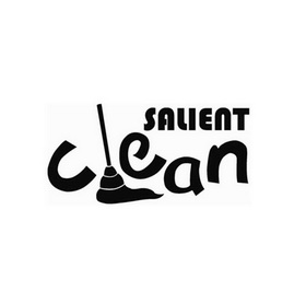  em>salient /em>  em>clean /em>