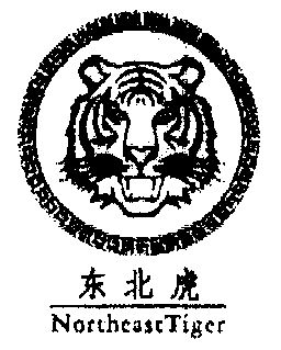 东北虎;northeast tiger                    