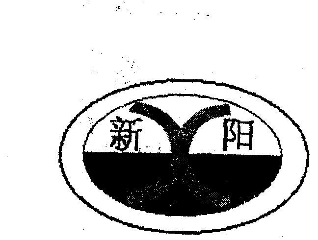 新阳