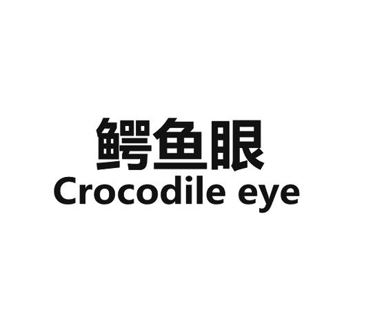 鳄鱼眼 em>crocodile/em em>eye/em>