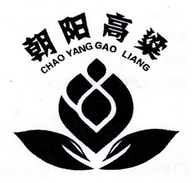 朝阳高粱 - 企业商标大全 - 商标信息查询 - 爱企查