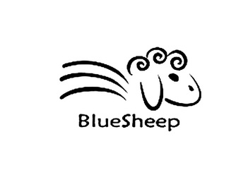  em>blue /em> em>sheep /em>