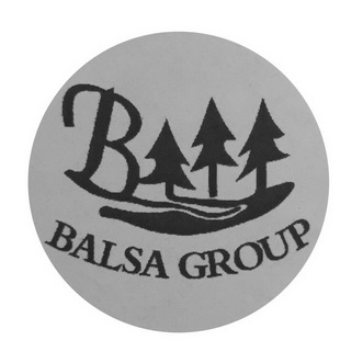  em>balsa /em>  em>group /em>  em>b /em>